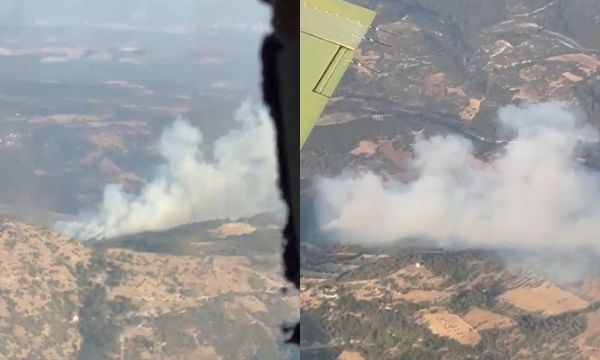 Bergama'da orman yangını!
